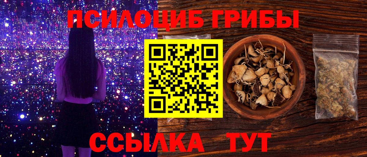 Псилоцибиновые грибы прущие грибы Лесосибирск